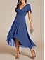voordelige Chiffon Jurken-Dames Maxi-jurk Cocktail jurk Bruiloft gast jurk Chiffon jurk A lijn jurk Elegant Formeel Werk Cocktailparty Normale pasvorm Korte mouw V-hals Zwart Wit Blozend Roze Koningsblauw Zomer