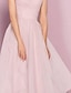 cheap Homecoming Dresses-Blush A-Line Cocktail Dresses Flirty Dress Homecoming Graduation Knee Length Sleeveless V Neck Pink Dress Tulle with Pleats 2024
