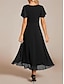 voordelige Chiffon Jurken-Dames Maxi-jurk Cocktail jurk Bruiloft gast jurk Chiffon jurk A lijn jurk Elegant Formeel Werk Cocktailparty Normale pasvorm Korte mouw V-hals Zwart Wit Blozend Roze Koningsblauw Zomer