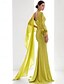 billige GRØN-Strand bryllup sort grøn havfrue aften kjole elegant kjole formel efterår gulv længde langærmet V-hals chiffon med fjer ruching flæser