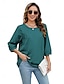 ieftine Topuri simple pentru femei-Pentru femei Cămașă Culoare solidă Floral Casual Boho Lungime Manșon 3/4 Cu Mâneci La Cot Stil Nautic Topuri obișnuite Vacanță Petrecere Zilnic Brodat Negru Galben Albastru piscină Toamnă Primavara