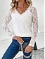 cheap Women&#039;s Blouses &amp; Shirts-Women&#039;s Blouse Solid Color Lace Eyelet Daily Elegant Long Sleeve V Neck White Spring Fall