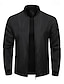 abordables Manteaux &amp; vestes-Homme Vest Bomber Veste de transition Sortir Avec Poches Toutes saisons Uni Occasionnel Col montant Régulier Noir Bleu Vert Véronèse Gris Veste