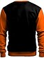 abordables Sudaderas gráficas con capucha-Gato Calabaza Moda Impresión 3D Sudadera Vacaciones Ropa de calle Halloween Sudaderas Negro Naranja Manga Larga Cuello Barco Otoño Invierno Diseñador Sudadera con capucha