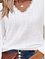 voordelige Kant Tops-Dames Witte Elegante Kanten Tops Oogjes Blouse Stijlvolle Effen Kleur Oogjes Puff Mouw Lange Mouwen Reguliere Tops V-Hals Dagelijks Romantische Petite Tops Zomer Vakantie Kleding Witte Roze Paars