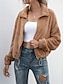 levne Sherpa bundy-Dámské Fleecová bunda Teddy Coat Zahřívací Prodyšné Zip Kapsy Podšité fleecem Na běžné nošení Barevné bloky Dovolená ulice Denní nošení Jdeme ven Zip Přehnutý Běžný Dlouhý rukáv Svrchní oděvy Bíl