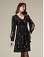 cheap Party Dress-Black Sequin Long Sleeve Split Ends Party Evening Mini Dress dress to impress 2024