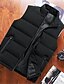 preiswerte Herren Steppweste-Herren Daunenweste Puffer Weste Weste Täglich Verabredung Urlaub Modisch Brautkleider schlicht Herbst Winter Tasche Polyester warm halten Komfortabel Glatt Reisverschluss Stehkragen Regular Fit