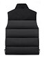 billige Herre Puffer Vest-Herre Dunvest Puffer Vest سترة Gilet Daglig Stevnemøte Feriereise Mote Fritid Høst vinter Lapper Lomme Polyester Hold Varm Bekvem عادي Lomme Glidelås Høy krage Normal Svart Elfenben Lilla Grønn Vest