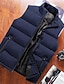 preiswerte Herren Steppweste-Herren Daunenweste Puffer Weste Weste Täglich Verabredung Urlaub Modisch Brautkleider schlicht Herbst Winter Tasche Polyester warm halten Komfortabel Glatt Reisverschluss Stehkragen Regular Fit