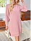 abordables robes unies-Robe Droite Robe unie Femme Mini robe avec manche Plein Air Rendez-vous Décontractées Col Ras du Cou manche longue Ample Rose Claire S M L XL 2XL