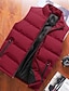 preiswerte Herren Steppweste-Herren Daunenweste Puffer Weste Weste Täglich Verabredung Urlaub Modisch Brautkleider schlicht Herbst Winter Tasche Polyester warm halten Komfortabel Glatt Reisverschluss Stehkragen Regular Fit