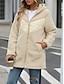 economico Cappotti Invernali-Per donna Giacca in pile Cappotto teddy Giacca con cappuccio Tenere al caldo Traspirante Cerniera Tasche In pile Informale Liscio Da mare Strada Da tutti i giorni Per uscire Cerniera Standard Felpa