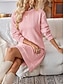 abordables robes unies-Robe Droite Robe unie Femme Mini robe avec manche Plein Air Rendez-vous Décontractées Col Ras du Cou manche longue Ample Rose Claire S M L XL 2XL
