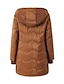 billige Puffer og Parka-Dame Fleece-jakke Teddyfrakk Hettegenser Hold Varm Pustende Glidelås Lomme Fleece Lined Fritid عادي Feriereise Gate Dagligdagstøy Ut på byen Glidelås Normal Hettegenser Normal Langermet Yttertøy