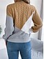 economico Motivi grafici e dettagli-Per donna Felpa Pullover Maglione Informale Morbido Color Block A coste Girocollo Collage Lavorato a maglia Manica lunga Top regolari Maglia Esterno Giornaliero Fine settimana Nero Rosa Autunno