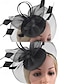 abordables Accesorios para el cabello de mujer-Tocado elegante para mujer con velo de malla y detalle de lazo, perfecto para bodas, fiestas de té y ocasiones especiales.