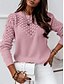 abordables Couleurs unies-Femme Pull Chandail Décontractées Flexible Couleur monochrome A côtes Col Ras du Cou Tricoté manche longue Hauts réguliers Tricoter Extérieur du quotidien Fin de semaine Blanche Rose Claire Automne