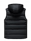preiswerte Herren Steppweste-Herren Puffer Weste Gepolstert Weste Steppweste Täglich Verabredung Urlaub Modisch Brautkleider schlicht Herbst Winter Tasche Polyester warm halten Komfortabel Glatt Reisverschluss Mit Kapuze Regular