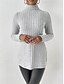 ieftine topuri tunică-Pentru femei Tunică Tricou Simplu Modă Modern Casual Manșon Lung Guler Pe Gât Topuri obișnuite Zilnic Sfârșit de săptămână Albastru celest Fucsia Maro Gri Toamnă Iarnă
