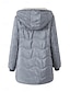 billige Puffer og Parka-Dame Fleece-jakke Teddyfrakk Hettegenser Hold Varm Pustende Glidelås Lomme Fleece Lined Fritid عادي Feriereise Gate Dagligdagstøy Ut på byen Glidelås Normal Hettegenser Normal Langermet Yttertøy