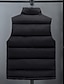 abordables Gilet Puffer pour Homme-Homme Gilet matelassé Rembourré Gilet du quotidien Rendez-vous Vacances Mode Décontractées Automne hiver Poche Polyester Chaud Confortable Couleur unie fermeture Éclair Mao Standard Noir Blanche