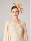 preiswerte Haarschmuck für Damen-Fascinator-Hut im Vintage-Stil für Damen in Rosa mit floraler Schleife und Schleier – elegantes Kopfstück für Hochzeiten und Teepartys