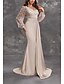 preiswerte Sekt-Meerjungfrau  Trompeten-Abendkleid Elegantes Kleid Karneval Hochzeitsgast Gericht Zug Lange Ärmel V-Ausschnitt Nylon mit Glitzer