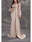 preiswerte Sekt-Meerjungfrau  Trompeten-Abendkleid Elegantes Kleid Karneval Hochzeitsgast Gericht Zug Lange Ärmel V-Ausschnitt Nylon mit Glitzer
