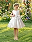 cheap Flower Girl Dresses-Ball Gown Knee Length Flower Girl Dress Wedding Party Girls Cute Prom Dress Taffeta with Bow(s) Elegant Fit 3-16 Years