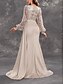 preiswerte Sekt-Meerjungfrau  Trompeten-Abendkleid Elegantes Kleid Karneval Hochzeitsgast Gericht Zug Lange Ärmel V-Ausschnitt Nylon mit Glitzer