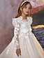 preiswerte Kleider für die Blumenmädchen-Ballkleid knielang Blumenmädchen Kleid Quinceanera Frozen Elsa Mädchen süßes Abschlussballkleid Tüll mit Rüschen königlicher Stil Tutu Passform 3-16 Jahre