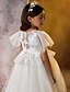 billige børn tutus-Balkjole Knælang Blomsterpigekjole Quinceanera Frosset Elsa Piger Sød gallakjole Tyl med Krøllede Folder Royal Stil Tutu Passer 3-16 år