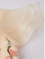 baratos Vestidos de Cocktail-Vestidos de Coquetel em A Casamento na Praia Vestido Elegante Convidada de Casamento Festa Até o Tornozelo Sem Mangas Decote em V Renda com Rendas Aplicações Vestidos