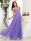 economico Abiti da sposa-Abiti da Ospite di Matrimonio A-Line Abito Elegante per Ospiti di Matrimonio Prom a Lunghezza Completa Senza Maniche Scollo a V Convertibile in Tulle Schiena a V con Ricamo di Paillettes