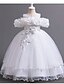 baratos Vestidos para Menina das Flores de Casamento-Vestido de Dama de Honra Comprimento de Chão Menina Flor Concurso  Desempenho Vestido de Formatura Bonito Chiffon com Laço(s) Camadas Plissadas Fit 3-16 Anos