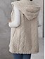 abordables Gilet-Femme Gilet polaire Chaud Respirable Doublé en Polaire Décontractées Plein Vacances Plein Air Usage quotidien Sortie Ouvrir le devant Normal Sweat à capuche Standard Sans Manches Vêtements d&#039;extérieur