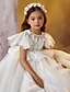 billige børn tutus-Balkjole Knælang Blomsterpigekjole Quinceanera Frosset Elsa Piger Sød gallakjole Tyl med Krøllede Folder Royal Stil Tutu Passer 3-16 år