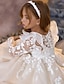 preiswerte Kleider für die Blumenmädchen-Ballkleid knielang Blumenmädchen Kleid Quinceanera Frozen Elsa Mädchen süßes Abschlussballkleid Tüll mit Rüschen königlicher Stil Tutu Passform 3-16 Jahre