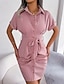 abordables Robe Simple-Femme Mini robe Robe chemise Robe casual Robe d'été mode Décontractées Vacances du quotidien Rendez-vous Standard Plein Manche Courte Revers Rose Claire Rouge Bleu Eté Printemps