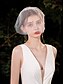 abordables Accesorios para el cabello de mujer-Velo de novia corto con adornos de perlas y cristales: elegante accesorio de boda vintage para novias, ideal para bodas y ceremonias.