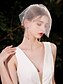abordables Accesorios para el cabello de mujer-Velo de novia corto con adornos de perlas y cristales: elegante accesorio de boda vintage para novias, ideal para bodas y ceremonias.