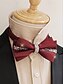 abordables Cravates et nœuds papillon pour hommes-nœud papillon en satin bordeaux avec ornement en cristal – accessoire formel élégant pour hommes pour les mariages, les fêtes et les événements spéciaux