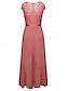 billige Simpel kjole-Kvinders Uddannelses Kjole Maxi Kjole Enkelt Farvet Prom Kjole A Line Kjole Fit And Flare Kjole Elegant Formelt Semi Bryllup Gæst Forlovelses Cocktail Fest Grafisk Uden Ærmer V Hals