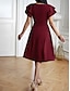 preiswerte Einfaches Kleid-Damen Midi Kleid Korsett Kleid T-Shirt Kleid Tee Kleid Einfarbig A-Linien Kleid Lässig Urlaub Alltag Reguläre Passform Grafik Kurzarm V-Ausschnitt Schwarz Wein Blau Grün Sommer