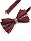 abordables Cravates et nœuds papillon pour hommes-nœud papillon en satin bordeaux avec ornement en cristal – accessoire formel élégant pour hommes pour les mariages, les fêtes et les événements spéciaux