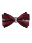 abordables Cravates et nœuds papillon pour hommes-nœud papillon en satin bordeaux avec ornement en cristal – accessoire formel élégant pour hommes pour les mariages, les fêtes et les événements spéciaux