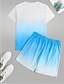 abordables Ensembles de t-shirts imprimés pour hommes-Homme A Ombre Palmier 2 pièces Ensembles de tees Hauts d&#039;été Manche Courte Pantalon court Col ras du cou Vacances à la Plage Sport Quotidien Sortir Impression 3D Été Blanche Bleu Vert