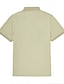 preiswerte Klassisches Poloshirt für Herren-Herren Poloshirt aus Seiden-Baumwoll-Mischgewebe, Strick-Polopullover, Business-Casual, Revers, kurze Ärmel, formell, einfarbig, Knöpfe, Sommer, Schwarz, Felsgrün, Hellgrün, Marineblau, Dunkelgrau, Grau