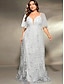 preiswerte Unter 129,99 $-Plus Size Kleid Brautmutter Kurven Kleid Elegant V-Ausschnitt Bodenlang Polyester Kurzarm mit Spitze
